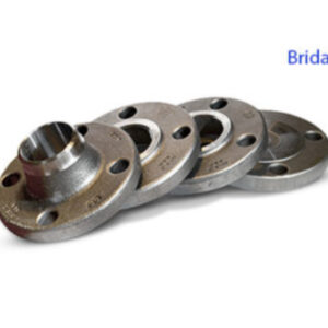 Bridas futura hermanos