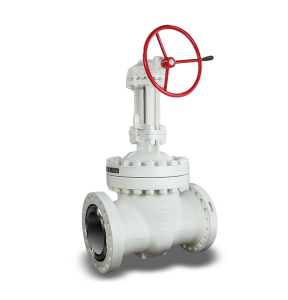 válvula compuerta para aplicaciones industriales