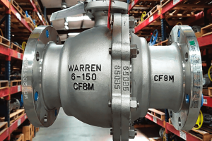warren valves